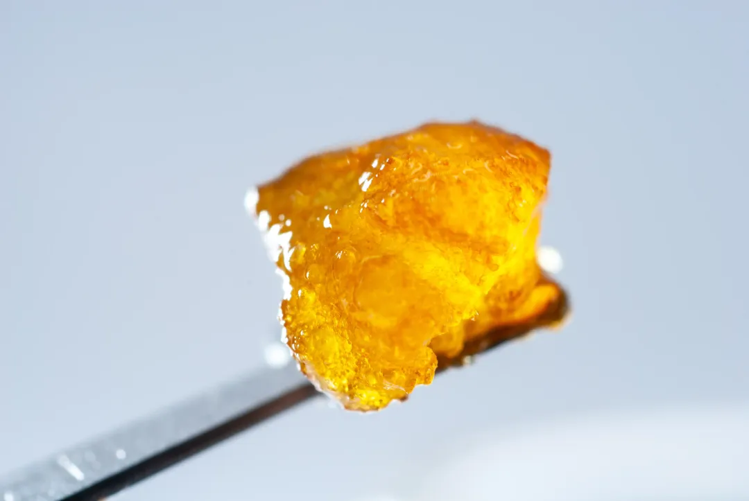 golden cannabis extract on a dab tool